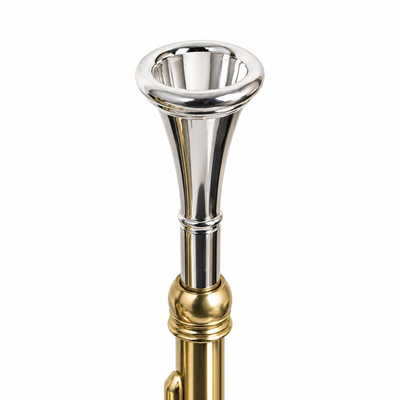 SAKURA SKR-FHR-029 French Horn (Korno)
