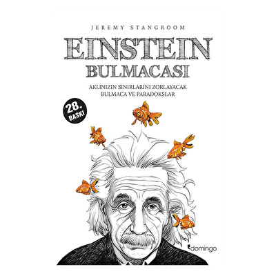 Einstein Bulmacası