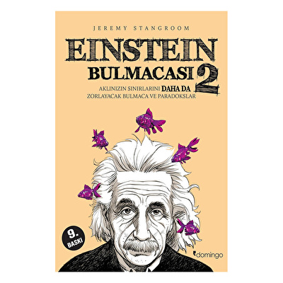 Einstein Bulmacası 2