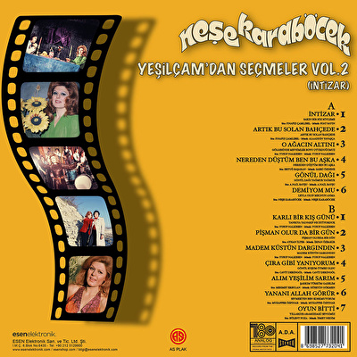 Neşe Karaböcek - Yeşilçam'dan Seçmeler Vol. 2