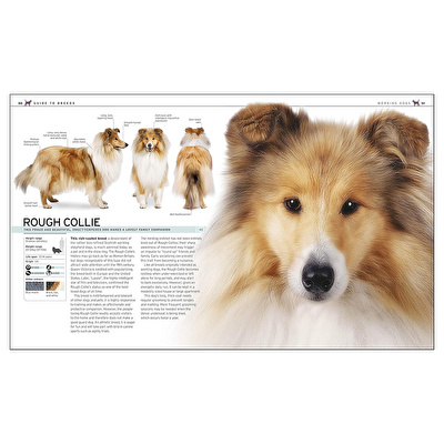 DK - The Complete Dog Breed Book