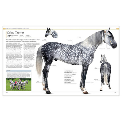 DK - The Horse Encyclopedia