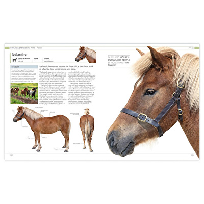 DK - The Horse Encyclopedia