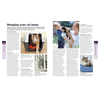 DK - Complete Cat Care