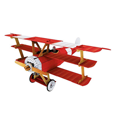 SASSI 3D Plane - Book And 3D Model