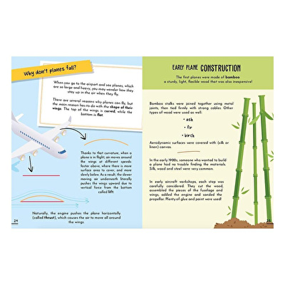 SASSI 3D Plane - Book And 3D Model