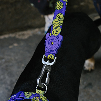 ZEE.DOG Lords Of Zee.Town Zmiley Leash Extra Small