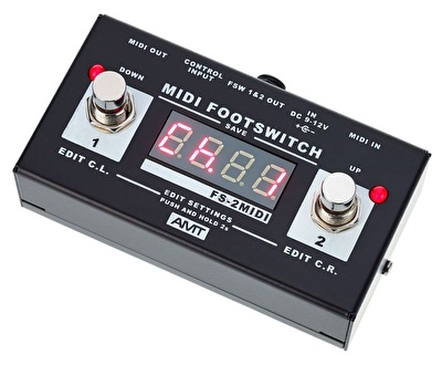 AMT Electronics FS-2 MIDI Footswitch