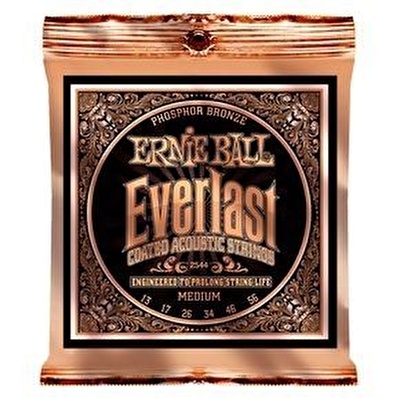 Ernie Ball P02544 Everlast Akustik Gitar Teli (Medium)