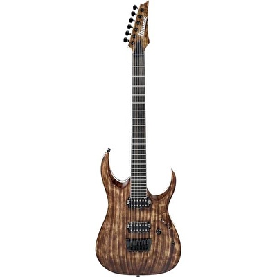 IBANEZ RGAIX6U-ABS RGA Iron Label Serisi Antique Brown Stained Elektro Gitar