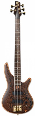 IBANEZ SR5005 OL SR Bas Gitar Case Dahil