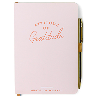 DESIGNWORKS INK Gratitude Journal - Tükenmez Kalemli Defter 16,5x11,5 cm