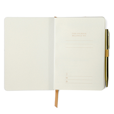 DESIGNWORKS INK Gratitude Journal - Tükenmez Kalemli Defter 16,5x11,5 cm