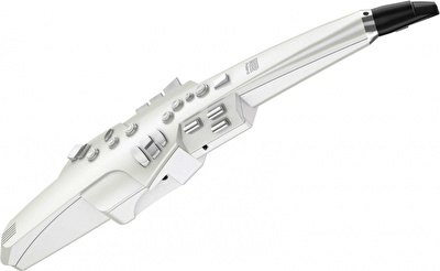 ROLAND AE-10 Aerophone Dijital Saksafon
