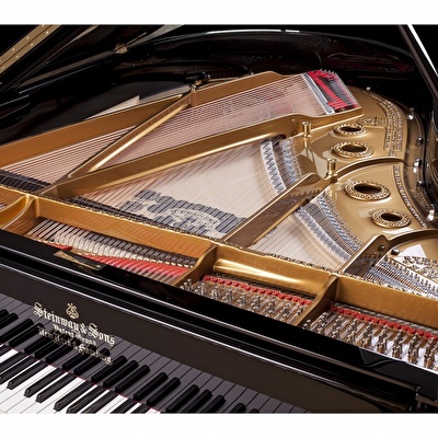 STEINWAY & SONS A-188 İstenilen Renkte Boyanmış Parlak Yüzey Kuyruklu Piyano