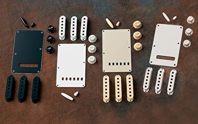 Stratocaster on sale accessory kit