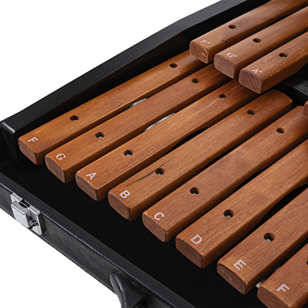 FOCUS FCXL225B Ksilofon