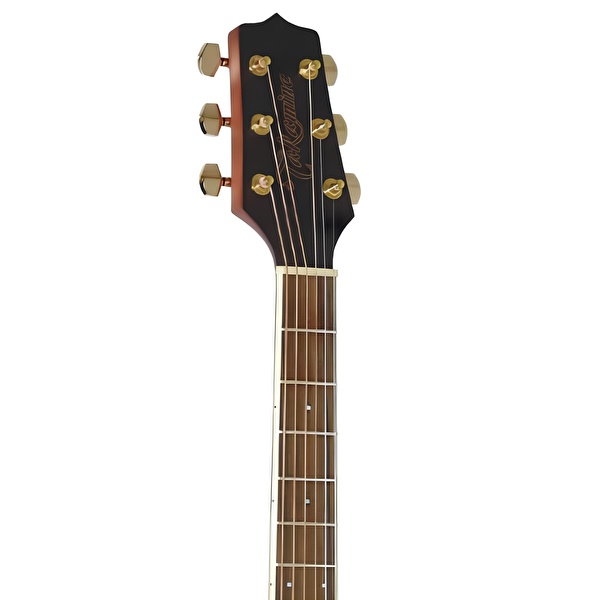 TAKAMINE GD51CE NS Natural Satin Elektro Akustik Gitar