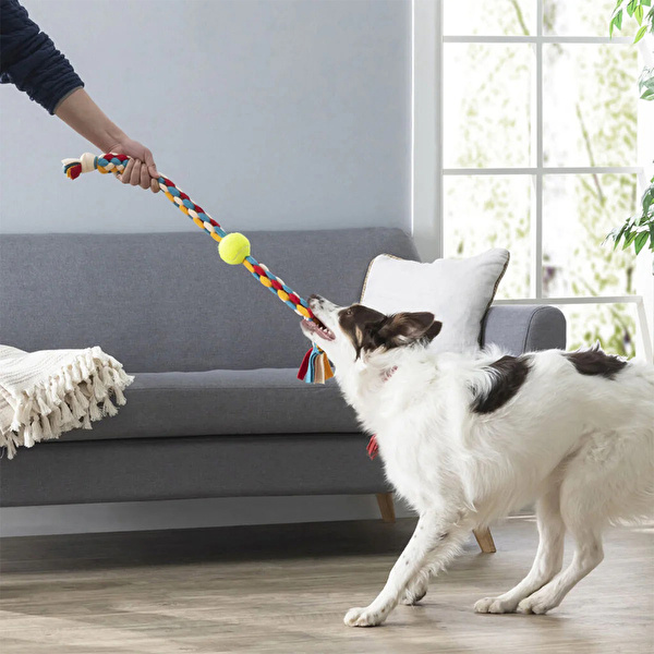 KIKKERLAND Köpekler İçin Isırma Kaşıma Oyuncağı