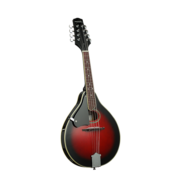 ALABAMA ALM18 Mandolin