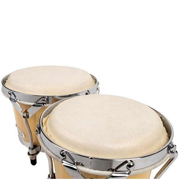 FOCUS FCB-105C Bongo