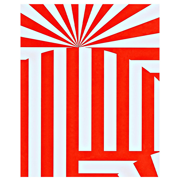 NUUNA Graphic L – Fancy Fans Defter