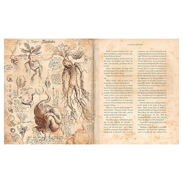 Harry Potter and the Chamber of Secrets: Illustrated Edition