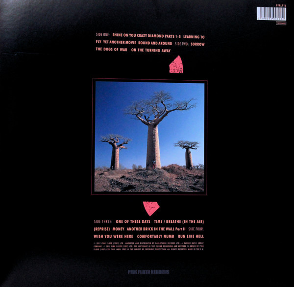 Pink Floyd – Delicate Sound Of Thunder (2017 Reissue, Remastered)