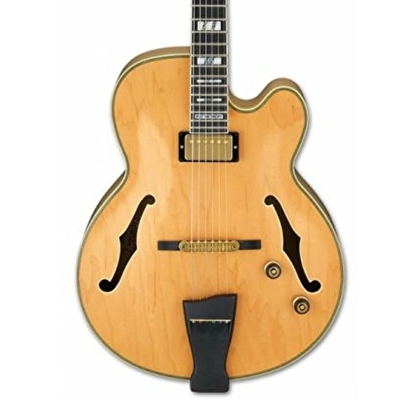 IBANEZ Pat Metheny PM200 NT Elektro Gitar Case Dahil
