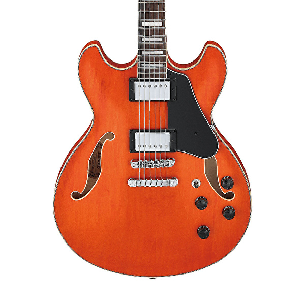 Ibanez AS73-TTF Elektro Gitar