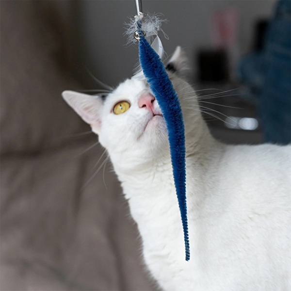 KIKKERLAND Kedi Oyuncağı - Wand