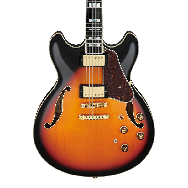 IBANEZ AS113-BS Elektro Gitar