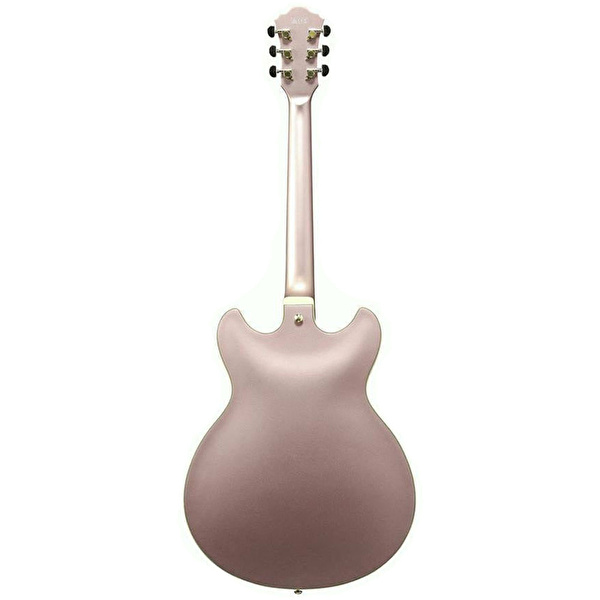 IBANEZ AS73G-RGF Elektro Gitar