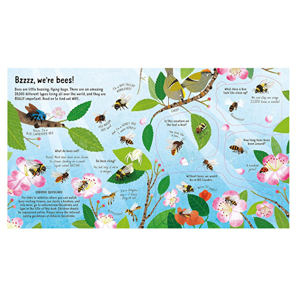 Look Inside The World of Bees