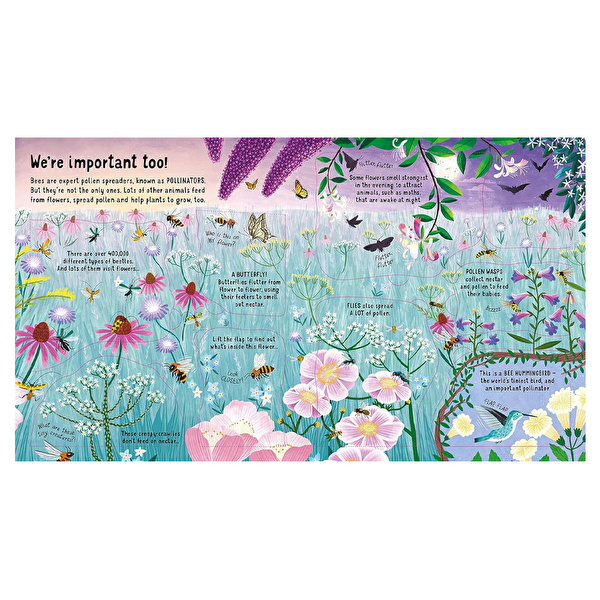 Look Inside The World of Bees