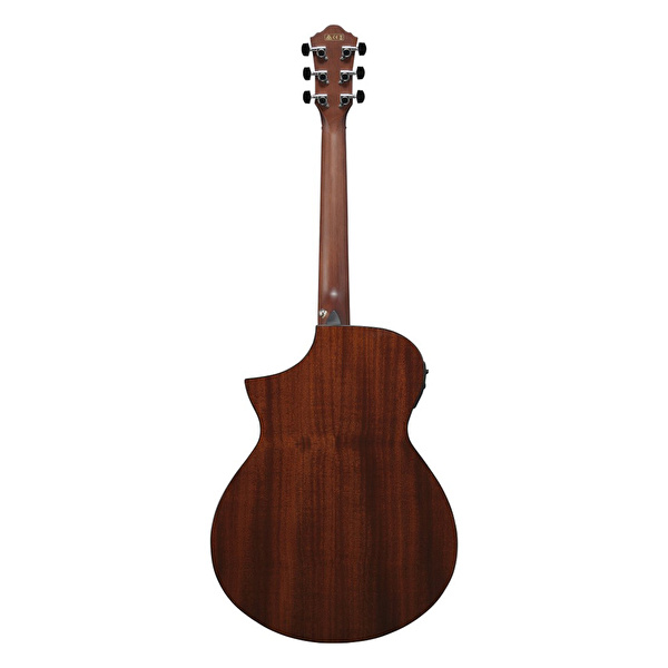 Ibanez AEWC12-RGF Elektro Akustik Gitar