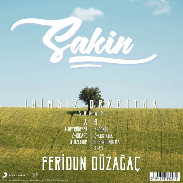 Feridun Düzağaç - Sakin