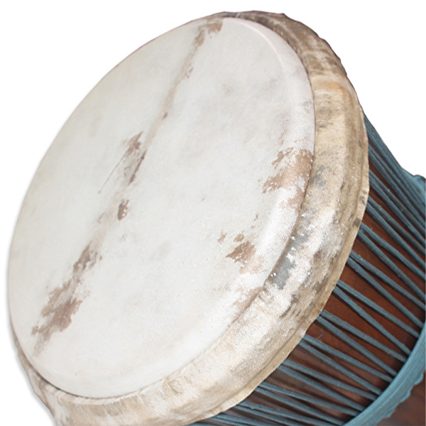 FOCUS EPMS-9 Elite Master 13