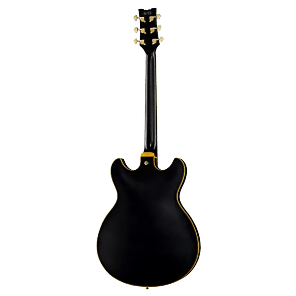 IBANEZ JSM20-BKL JSM Elektro Gitar (Case Dahil)