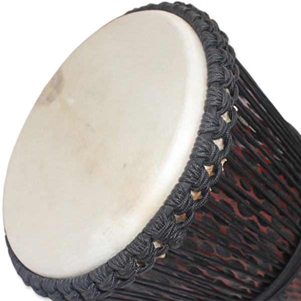 FOCUS ESP60-2 Elite 12