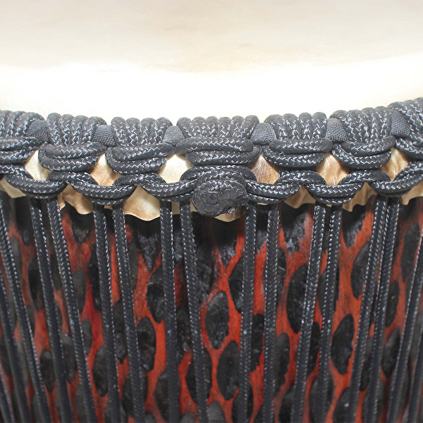 FOCUS ESP60-2 Elite 12