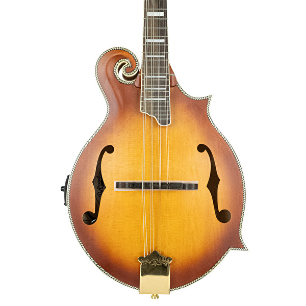 D’ANGELICO DAMFSSATWE Elektro Mandolin