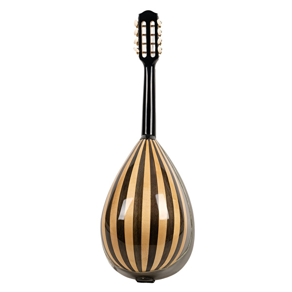 MATSIKAS MDA-202C Mandolin (Case Dahil)