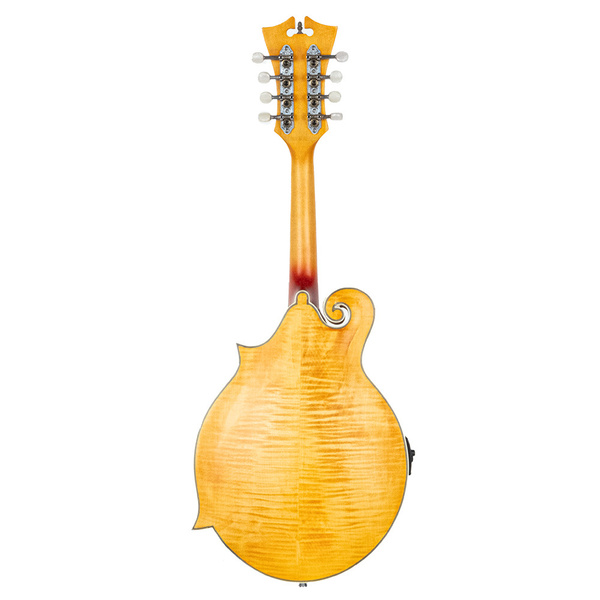 D’ANGELICO DAMFSSAMBE Elektro Mandolin