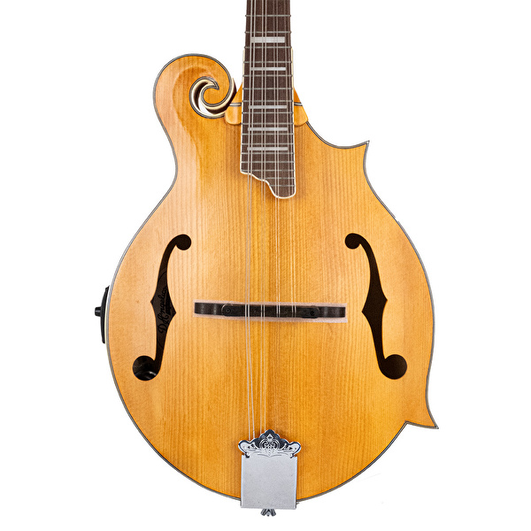 D’ANGELICO DAMFSSAMBE Elektro Mandolin