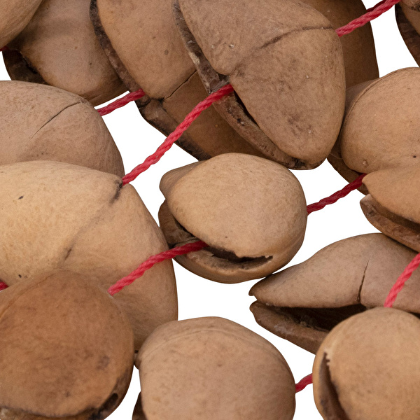 PEARL PBSHKENL Kenari Nut Shaker