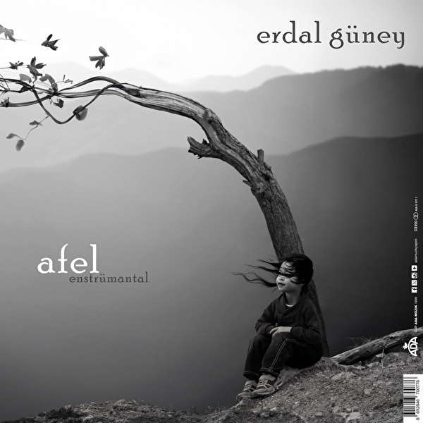 Erdal Güney - Perihel-Afel