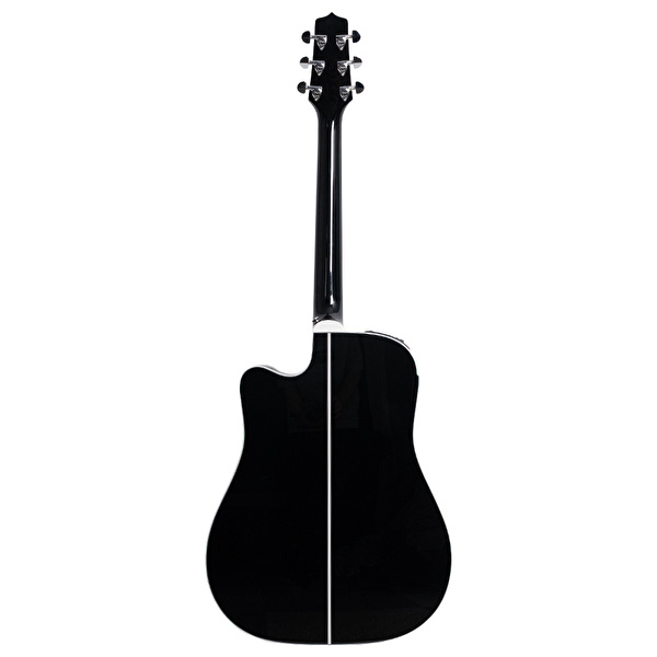 Takamine EF341SC Elektro Akustik Gitar