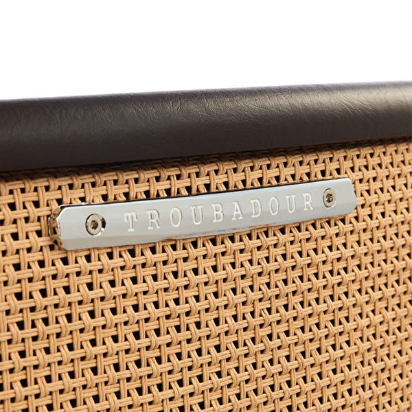 Ibanez T80II-U Akustik Gitar Amfisi