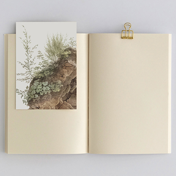 PAPER STREET Mantar II - Agaricus Radicatus Defter